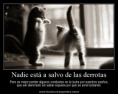 /album/galeria-maxian/imagenes-con-frases-de-aliento-y-luchar-png/