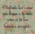 /album/galeria-maxian/a1470156-715445631801860-483082147-n-png/